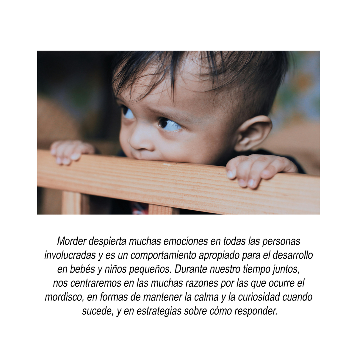 Un enfoque socioemocional para abordar las mordeduras RU1772-11926